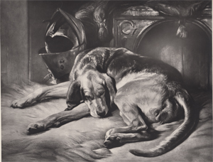 The Sleeping Bloodhound
